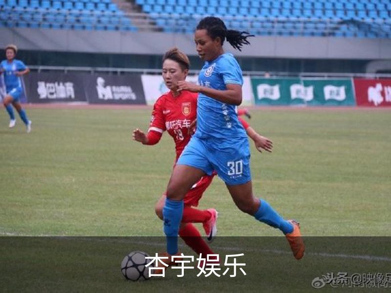 杏宇娱乐概况